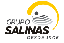 Cliente Grupo Salinas de Tremvolo Group